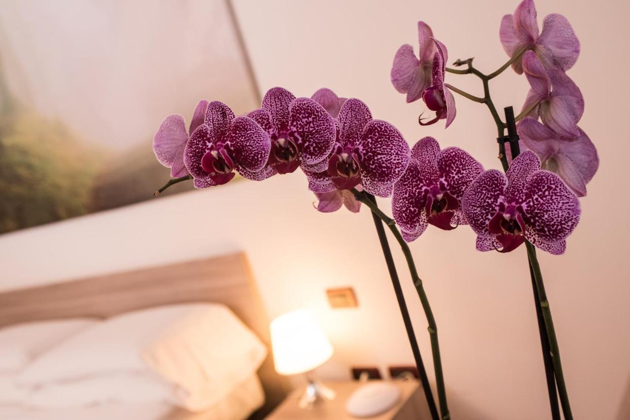 Hotel Ristorante Ala D'Oro ルーゴ エクステリア 写真